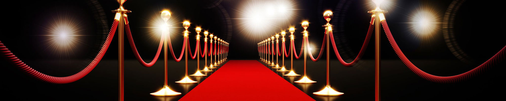 2024 Night for Noyes Red Carpet Gala Banner